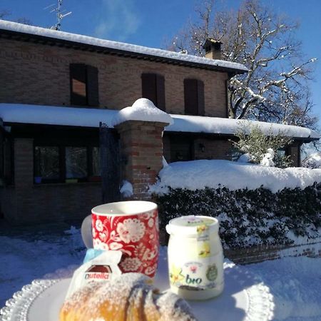 Bed and Breakfast Il Castagneto Камеріно Екстер'єр фото